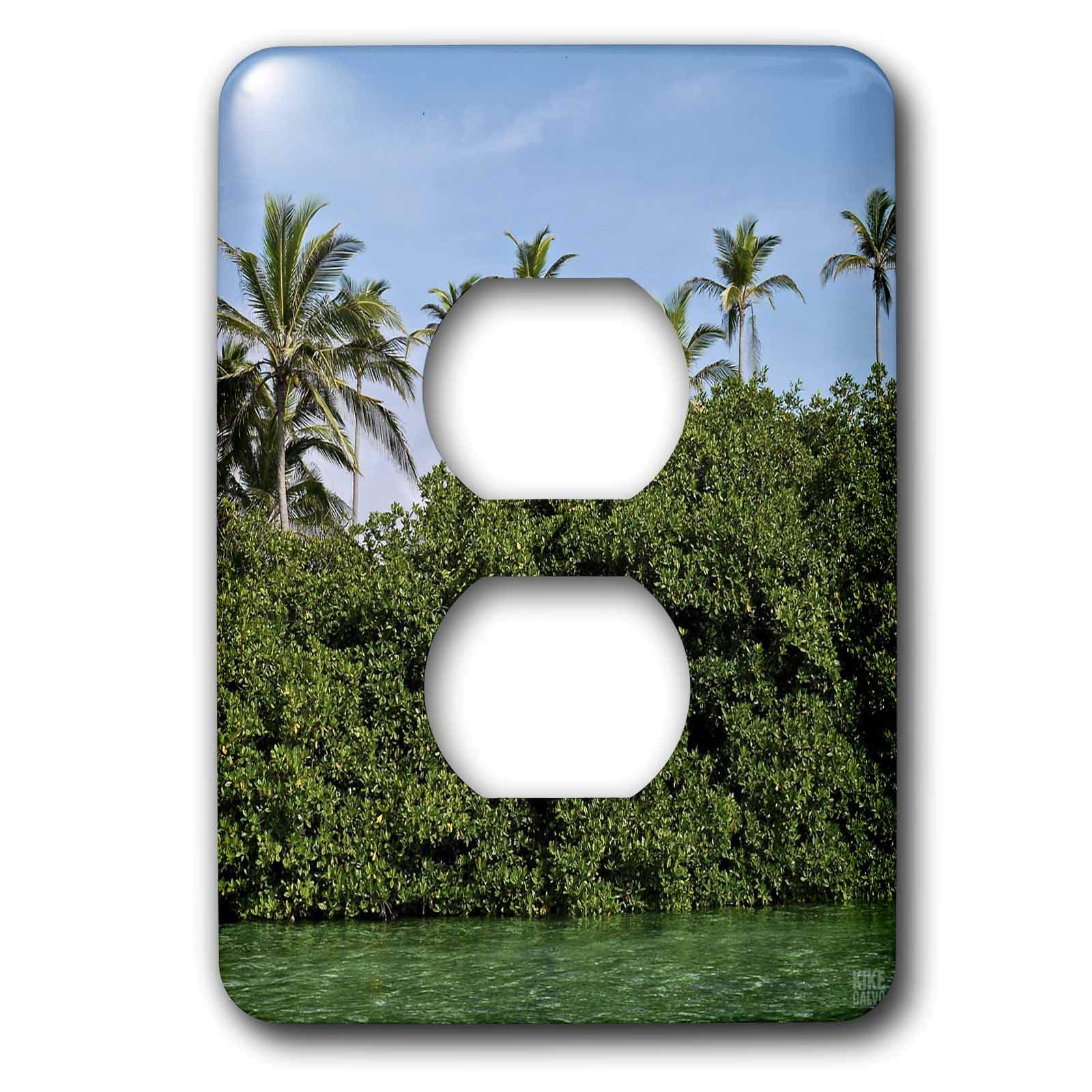 Couvercle de prise double 3dRose lsp_10395_6 pour cacher les plaques électriques jaunies
