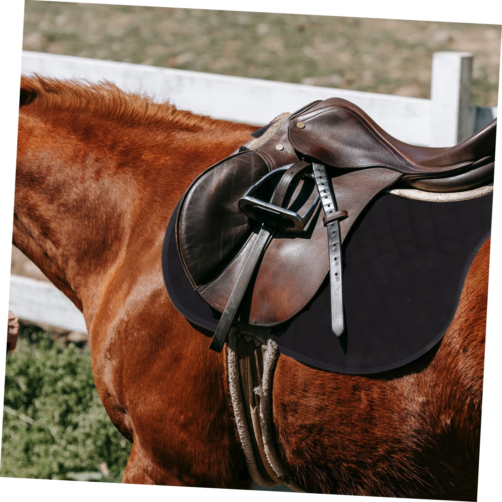 Almohadilla para Silla de Montar Funda de Asiento para Caballo Antideslizante Transpirable Alta Elasticidad para Entrenamiento Ecuestre