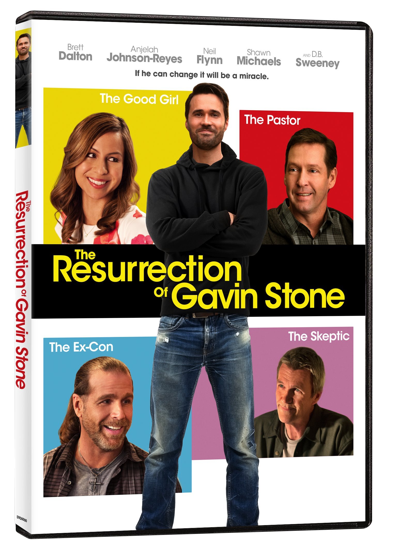 Película Gavin Stone en DVD formato USA ideal para tardes de cine familiar con valores