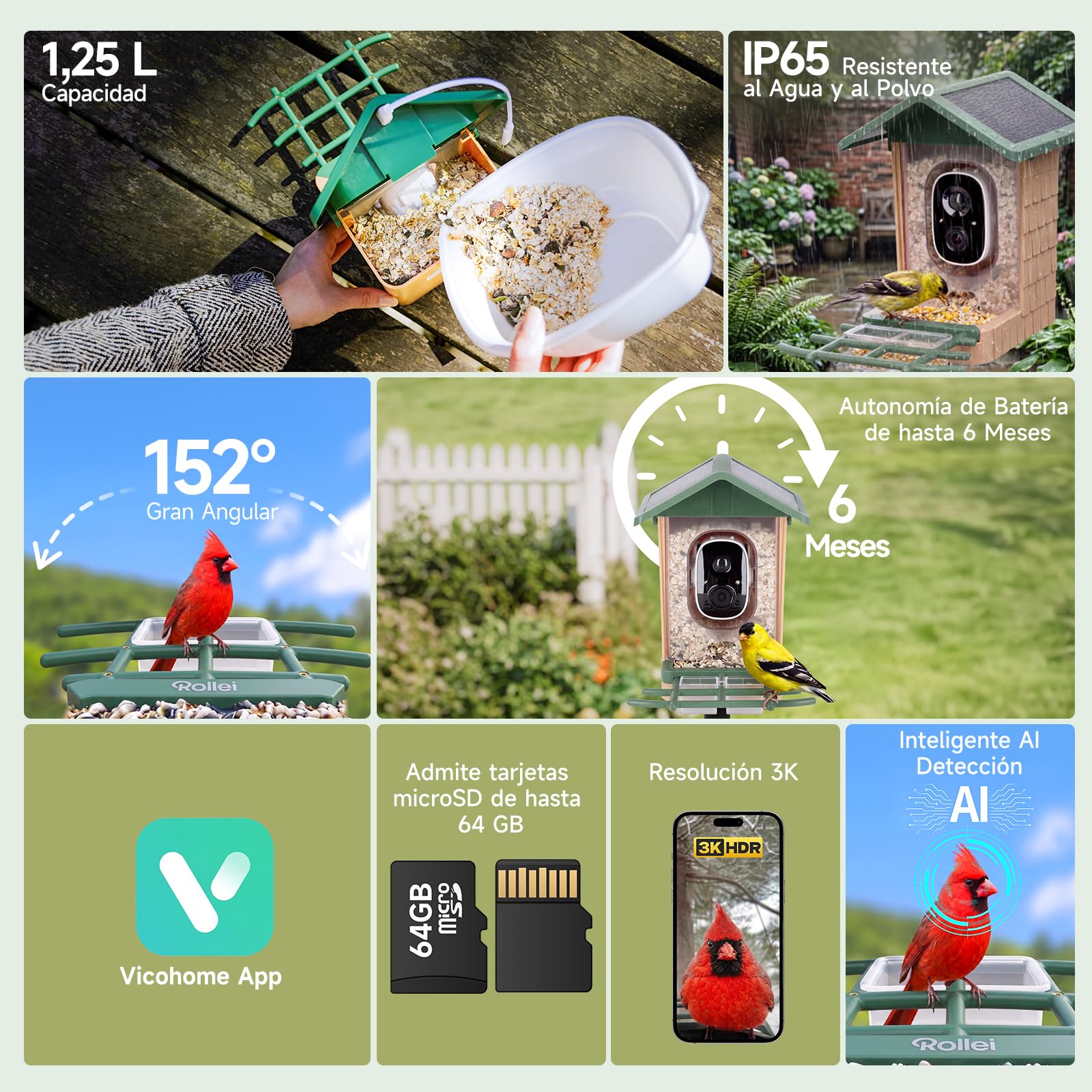 Comedero Inteligente Pájaros, Rollei Smart Bird Feeder 3K Comedero Pajaros | Solar con Cámara Exterior AI Reconocimiento de 10000 Pájaros Impermeable IP65 Visión Nocturna LED Audio Bidireccional