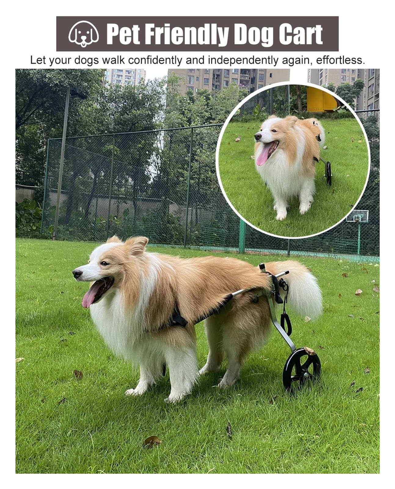 Carrello Cani Disabili, Sedia a rotelle per Cani, Deambulatore assistito a 2 Ruote for Arti Posteriori paralizzati, Carrello for la Mobilità in Alluminio(Size XXXL)