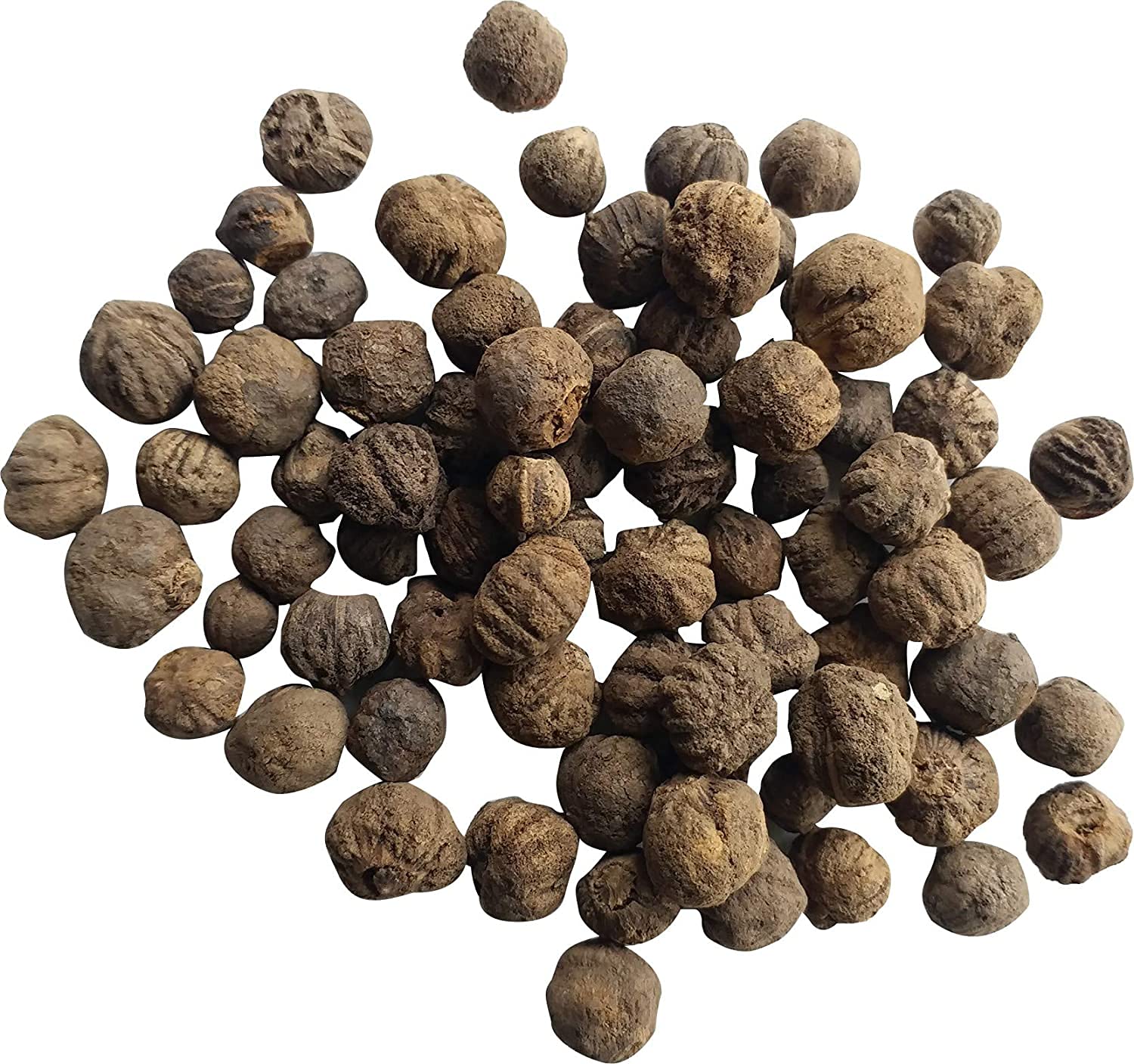 Verdor Teak Wood Seeds(pack of 500 seed)(Sagwan, Sagvan, Tectona Grandis) Tree Seeds(For Plantation,Farming (B0B7RYSMT2) Amazon Price History, Amazon Price Tracker