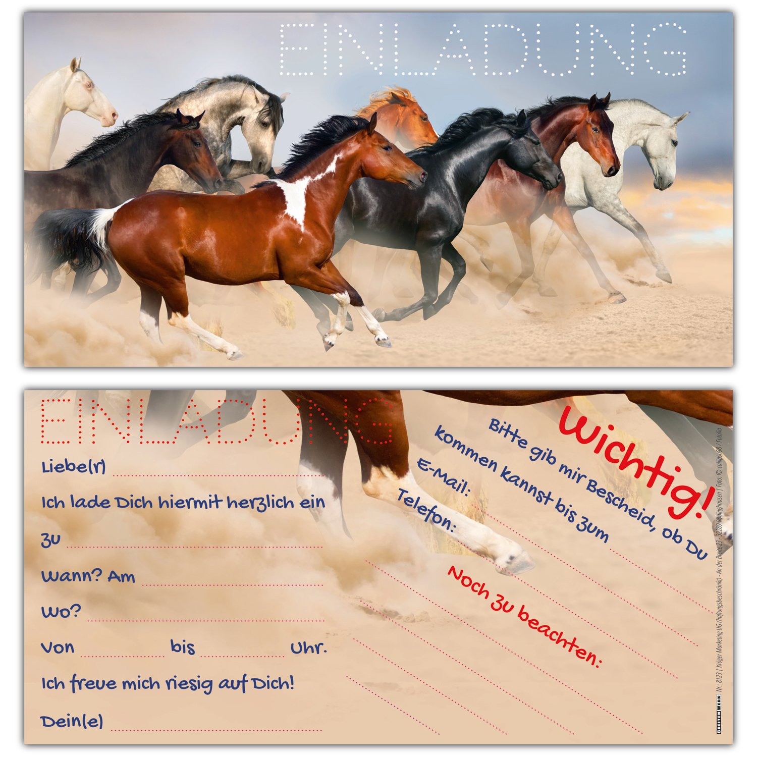 12x Pferde Einladungskarten Set - Geburtstagseinladungen Mit Umschlägen