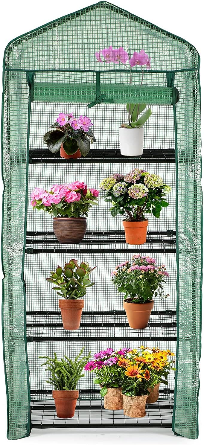 Mini Greenhouse for Indoor Outdoor, Small Plant Greenhouse 4 Tier Rack Stands with PE Cover, Portable Rack Shelves Gardening Green House for Seeds and Flowers, 27"x20"x62"