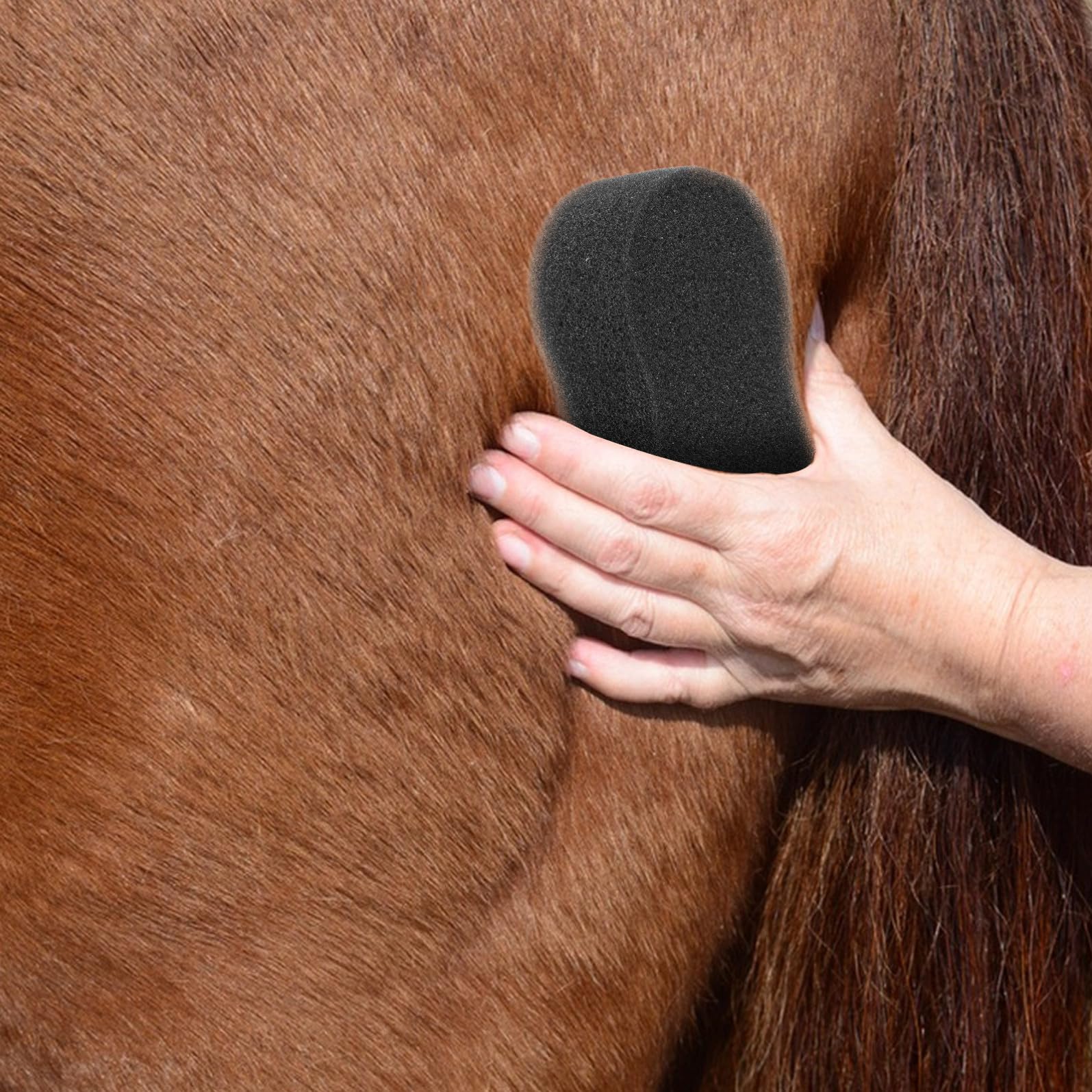 Herramientas para Baño y Cuidado de Caballos 5 Esponjas Portátiles para Limpieza de Pelo y Eliminación de Suciedad