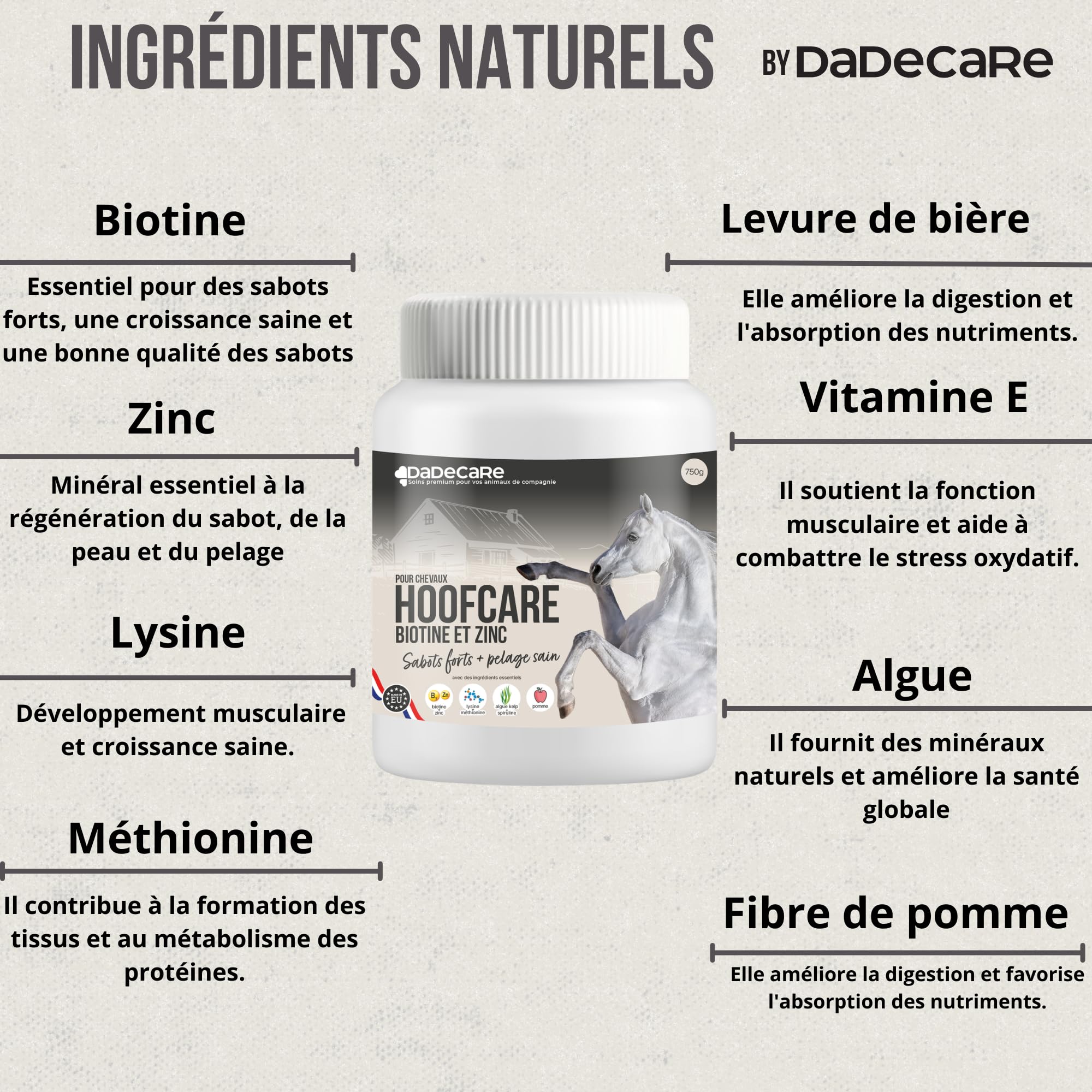 Hoofcare Biotine et zinc pour casques de cheval 750 g – Sabots forts et croissance naturelle – Idéal pour les casques fragiles, le changement de pelage et les chevaux sportifs – Soins sabots et peaux