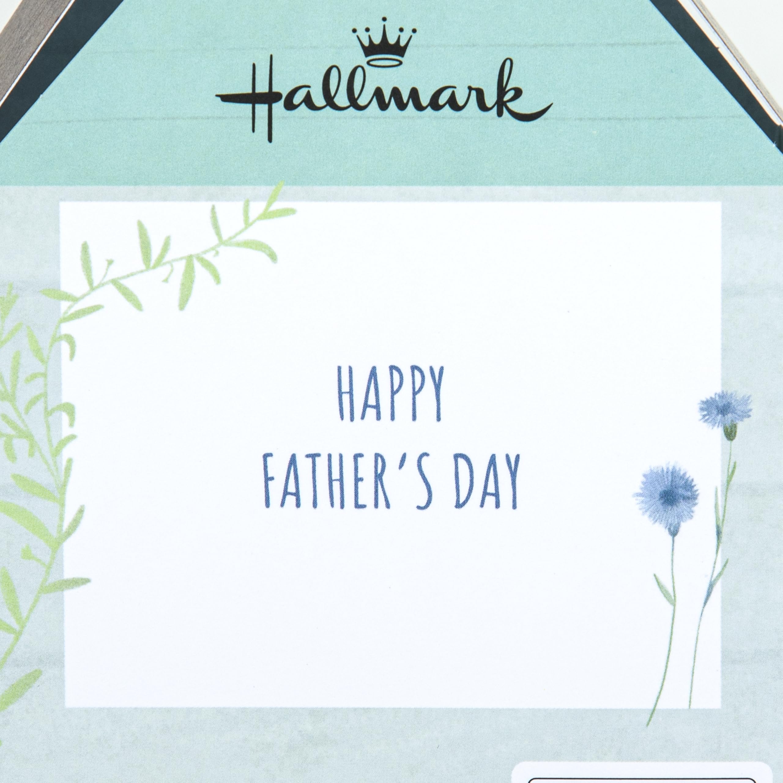 View 6