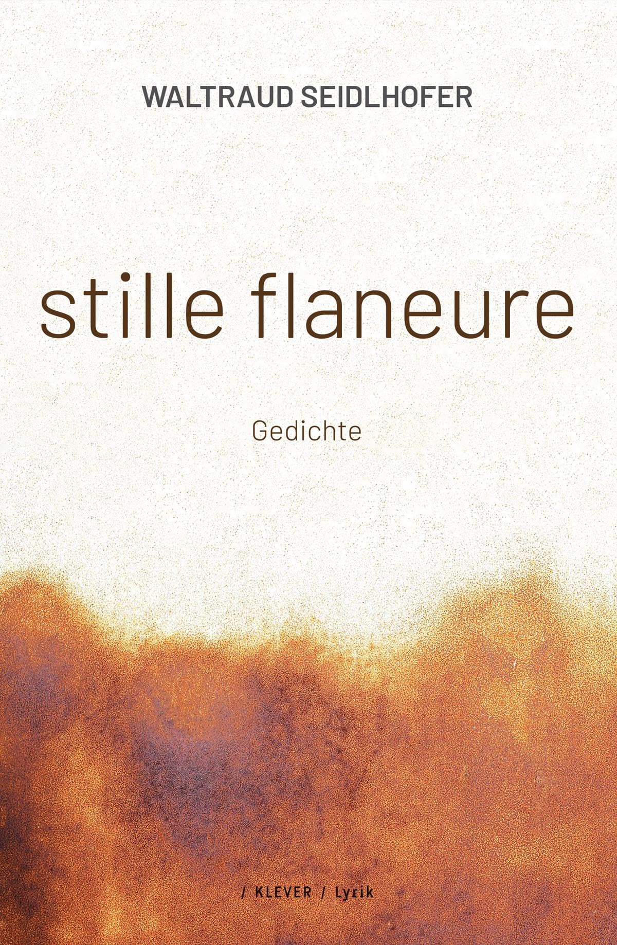 Klever Verlag Stille Flaneure: Gedichte