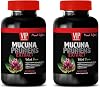Mood Supplements for Men - MUCUNA PRURIENS Extract, Velvet Beans - mucuna Supplements, 2B 120 Capsules