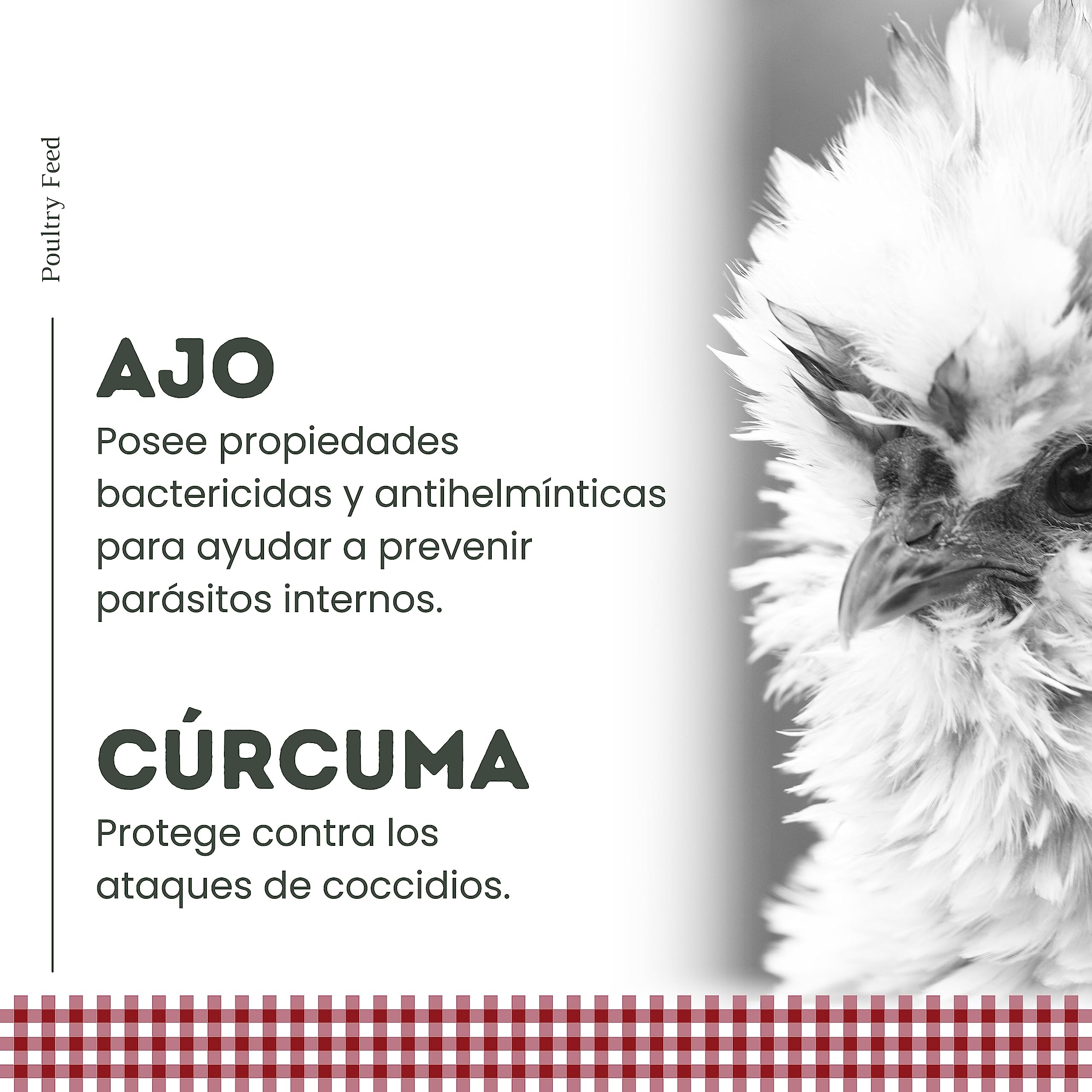 Pienso para Gallinas Ponedoras y Ornamentales | Alimento con Fórmula Exclusiva | Poultry Feed Saco 25 kg | Rico en Proteínas y Grasas Saludables para un Plumaje Vistoso (Pack 6)