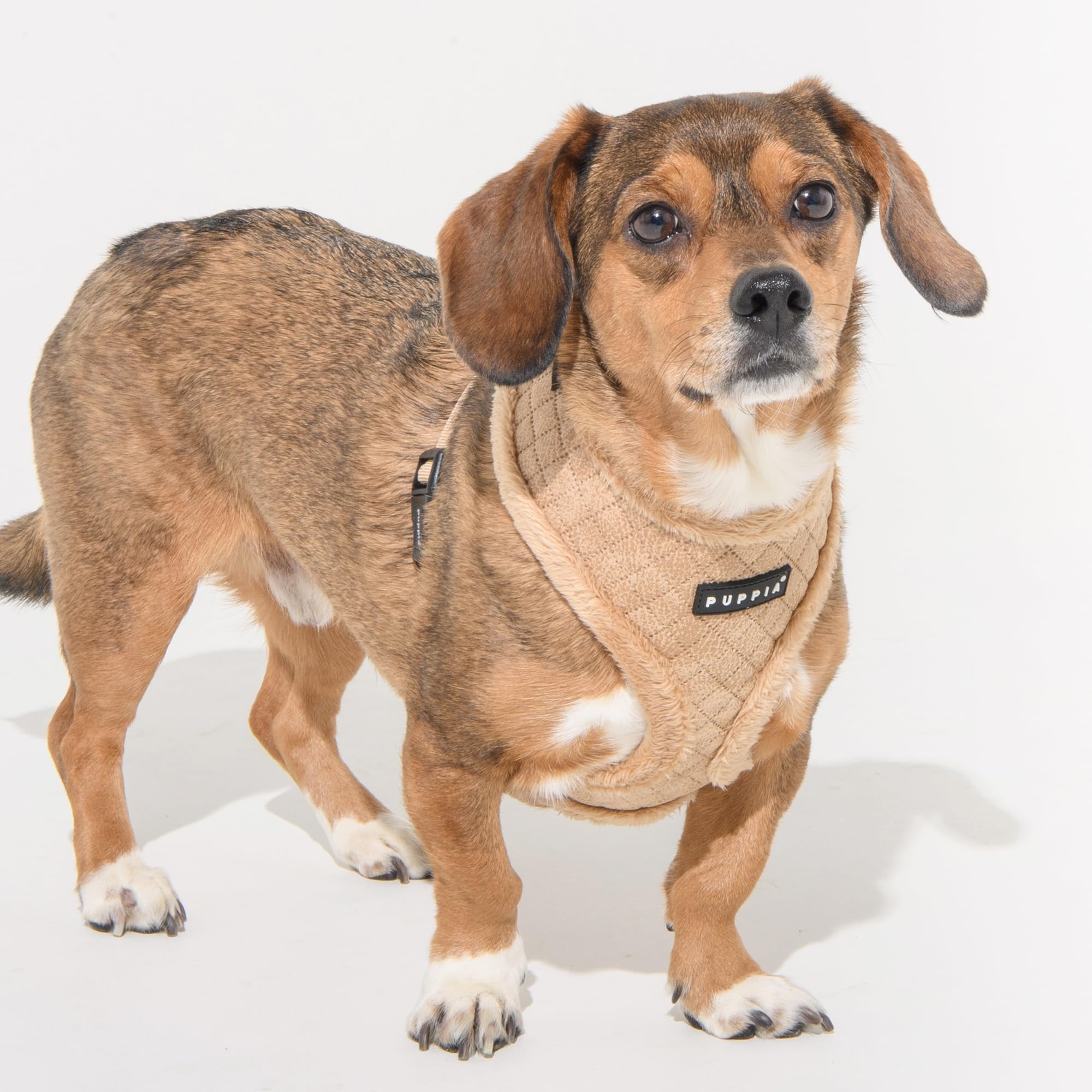 DOUGLAS HARNESS A Dog harness Beige XL - Image 4