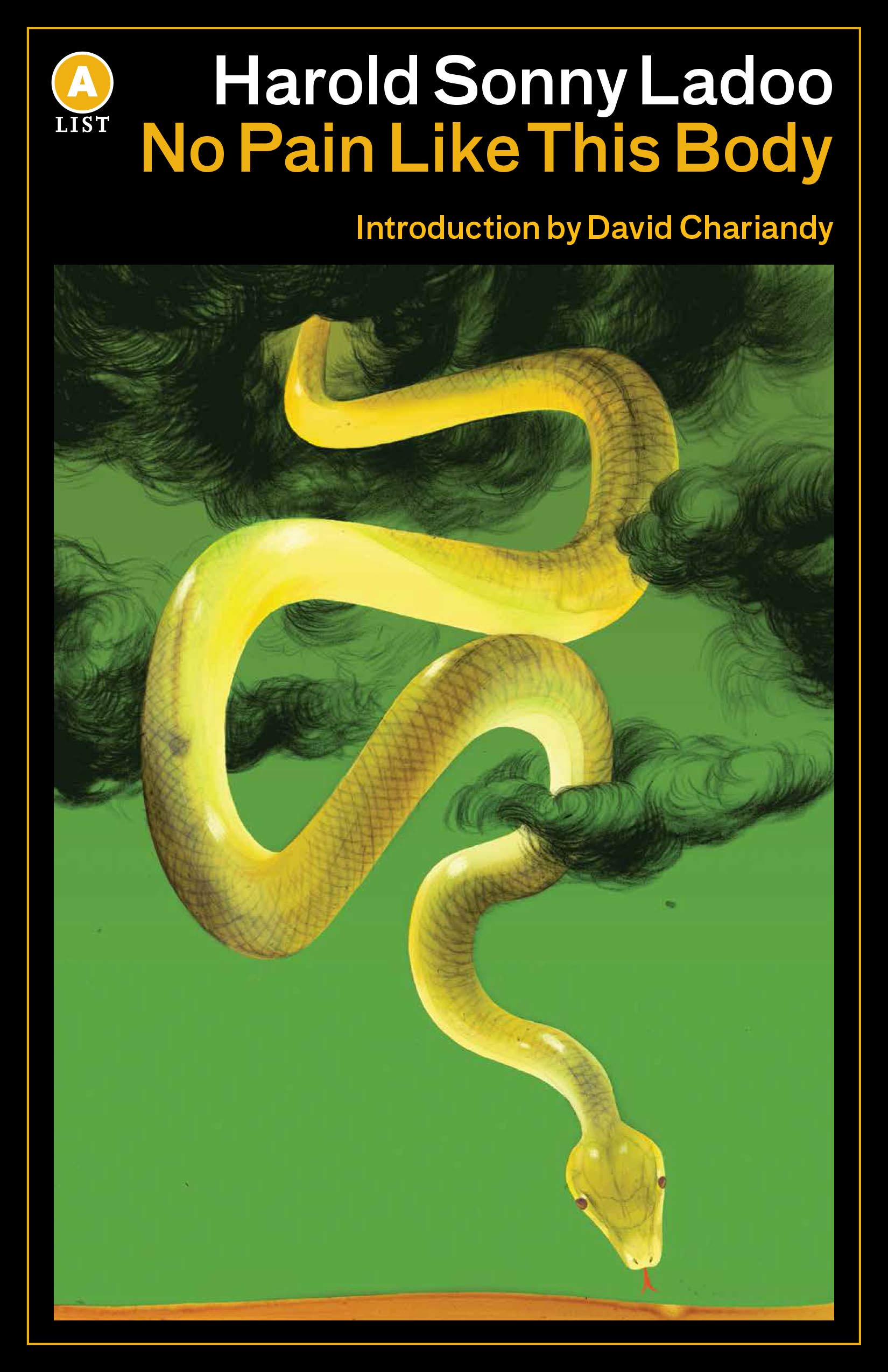 No Pain Like This Body (A List)