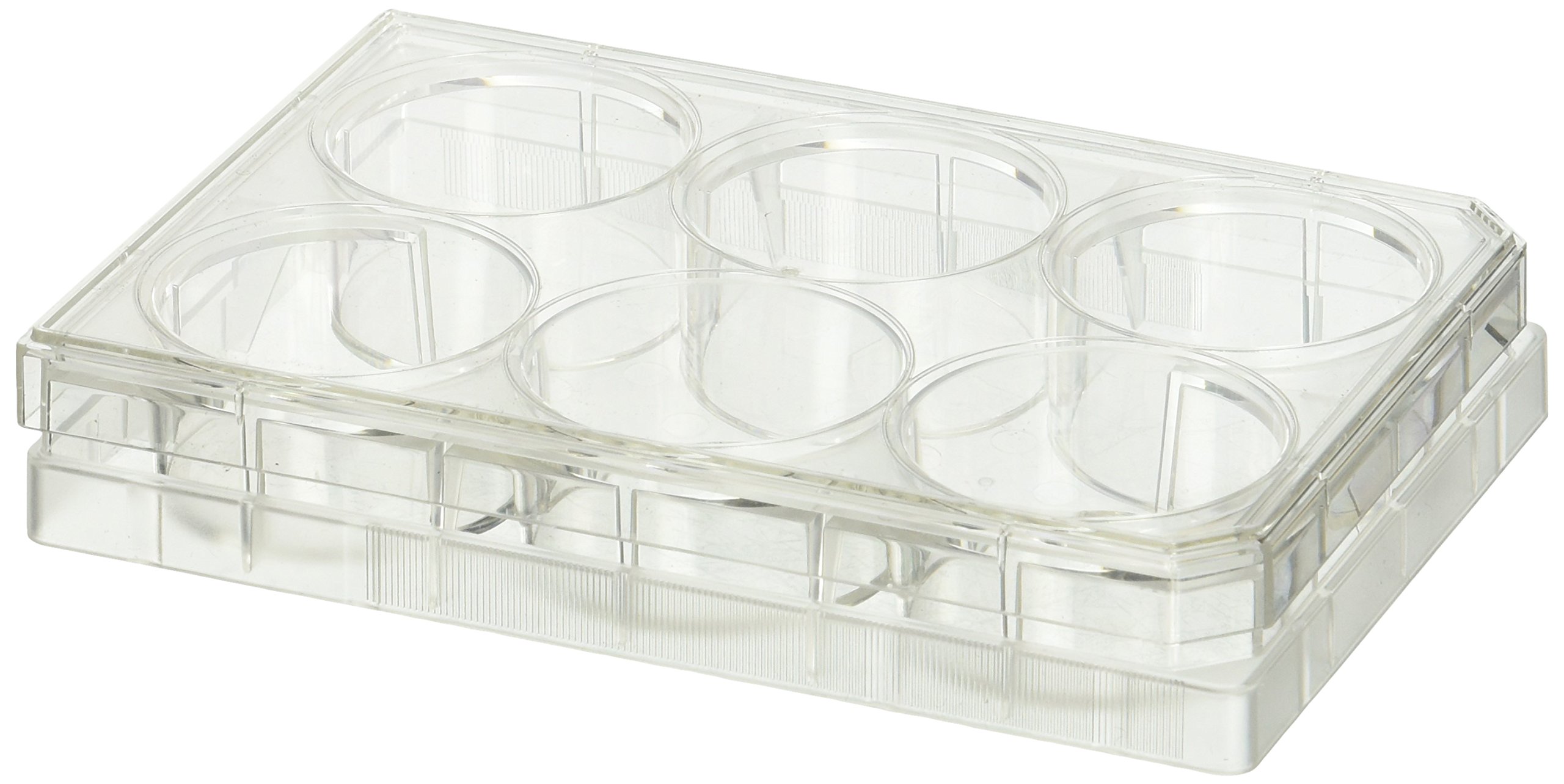 BD 353224 Falcon Clear Polystyrene Sterile 6 Well Tissue Culture Plate with Low-Evaporation Lid, 15.5mL Volume, Flat Bottom Shape (Case of 36)