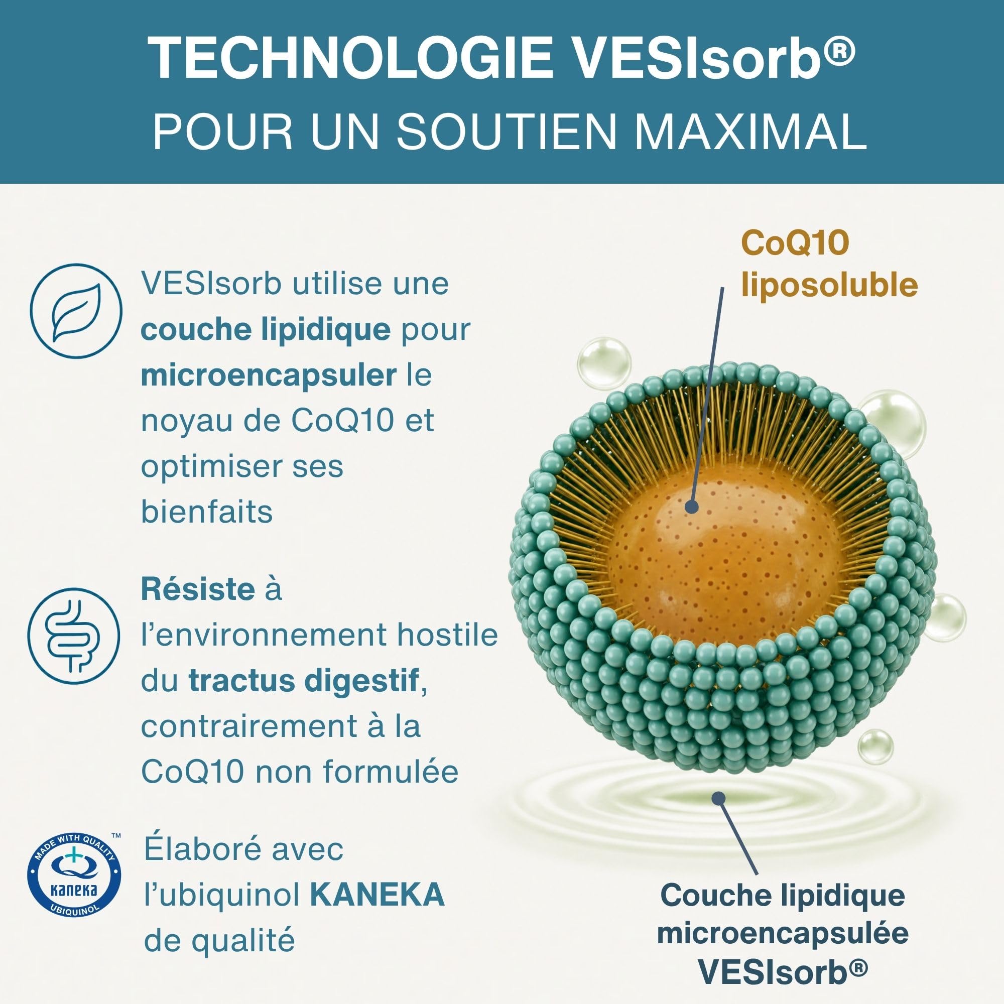 Igennus Vesisorb Ubiquinol Kaneka CoQ10 100mg Absorption Maximale 30 Molles | Biodisponibilité 600% Supérieure, Formule Hydrosoluble à Action Rapide