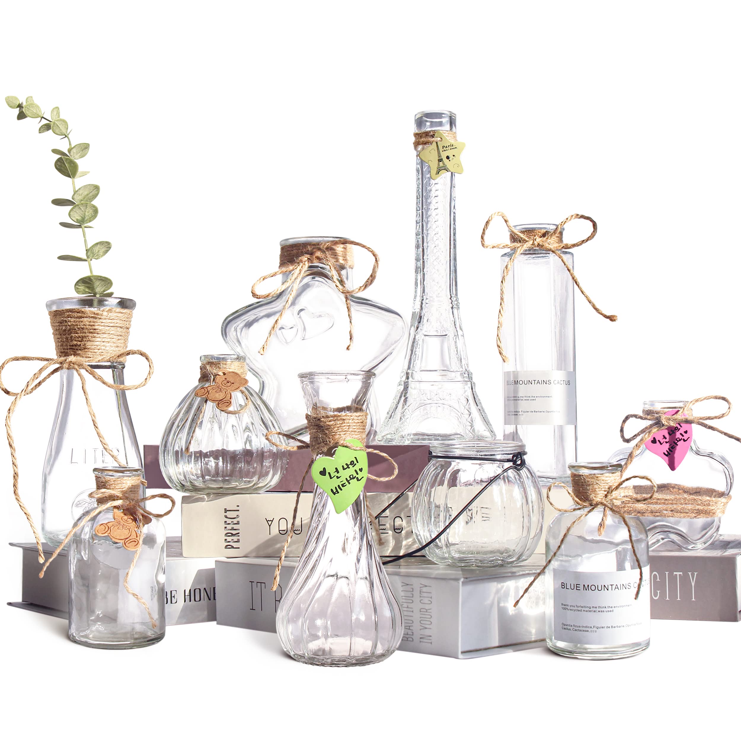 ZRRHOO Glass Vases Set of 10, Clear and Small Decorative Flower Vase with Rope Design and Differing Unique Shapes for Wedding, Dinning, Home Decoration