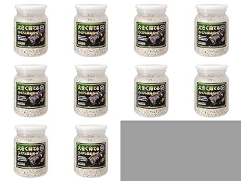 Amazon | 菌糸ビン 800CC 10本セット BIG HORN 手詰 | ノー