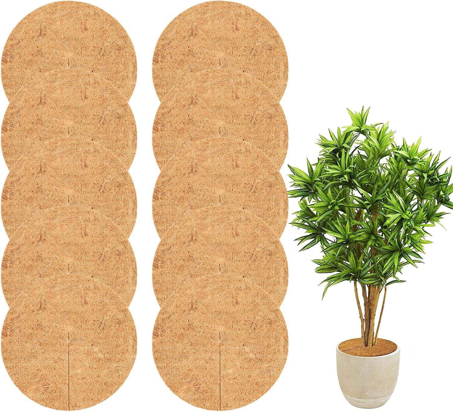 LSRVNM 10PCS Coconut Fibers Mulch Ring Tree Protector Mat, 30 CM