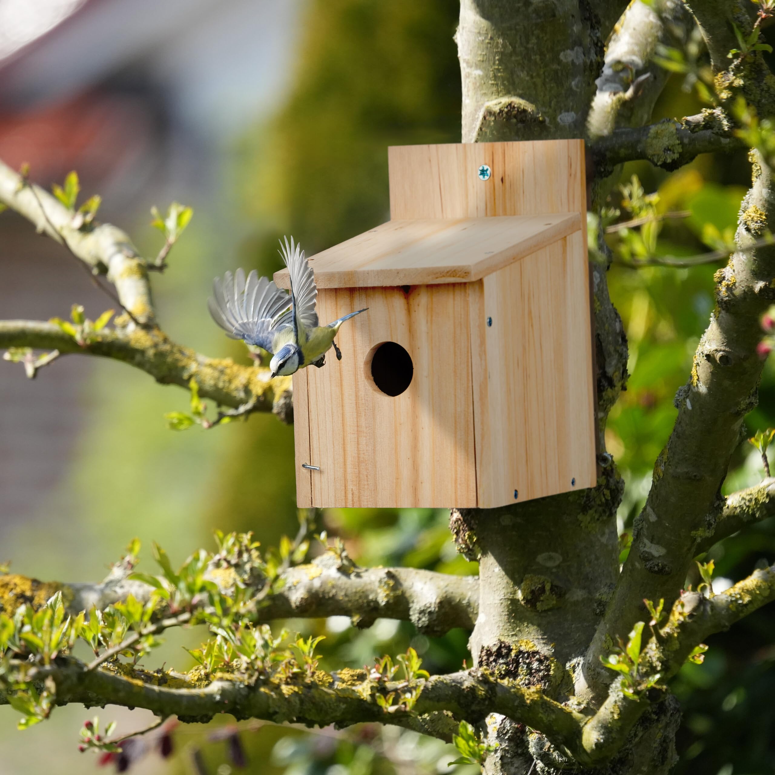 Relaxdays Casa per Uccellini, Casetta Nido in Kit in Legno, da Appendere, Sportello con Foro, HLP 23x14x18 cm, Naturale, 23 x 14 x 18 cm