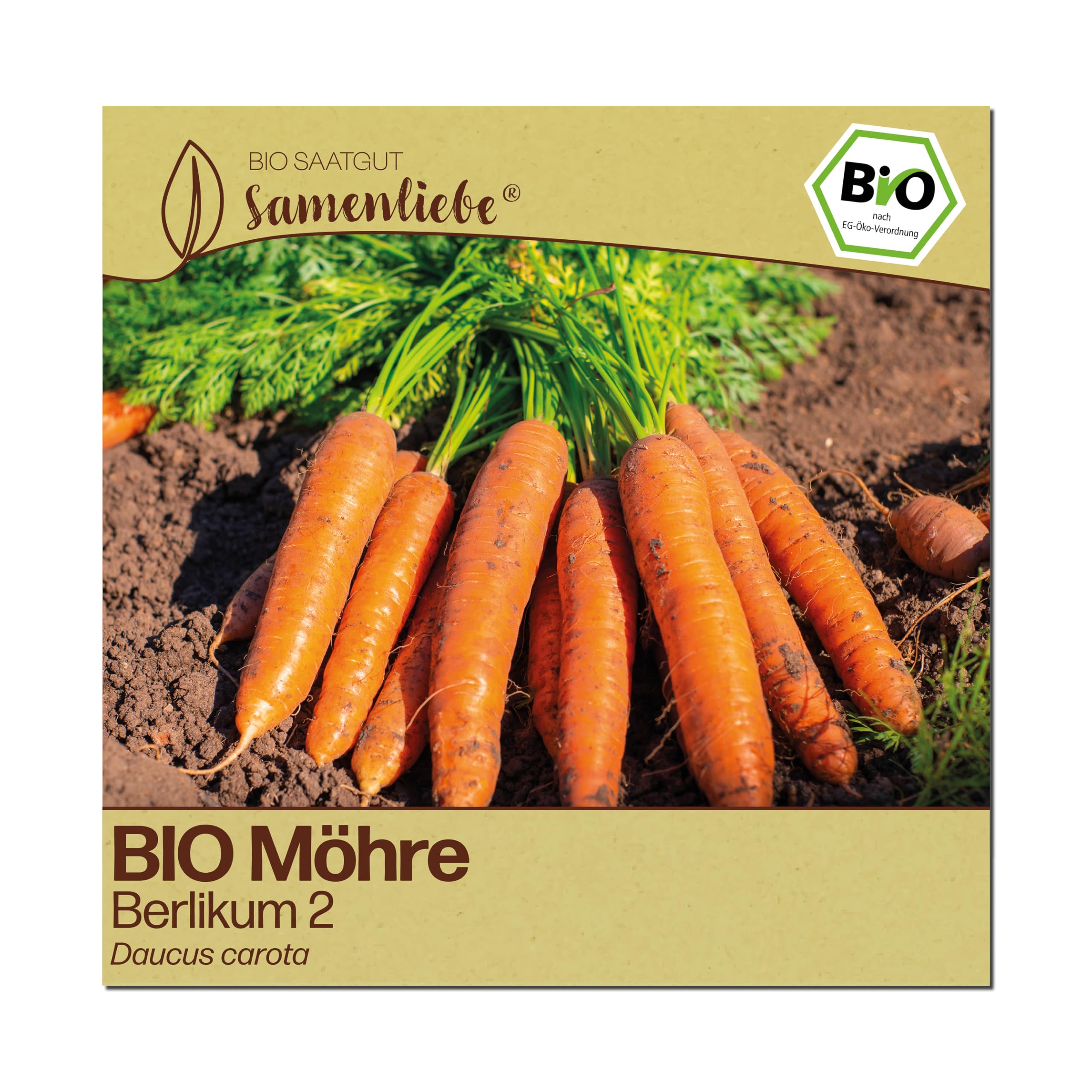 Samenliebe BIO Karotten Samen | Möhre Berlikum 2 - winterhart & lang - samenfestes BIO Saatgut