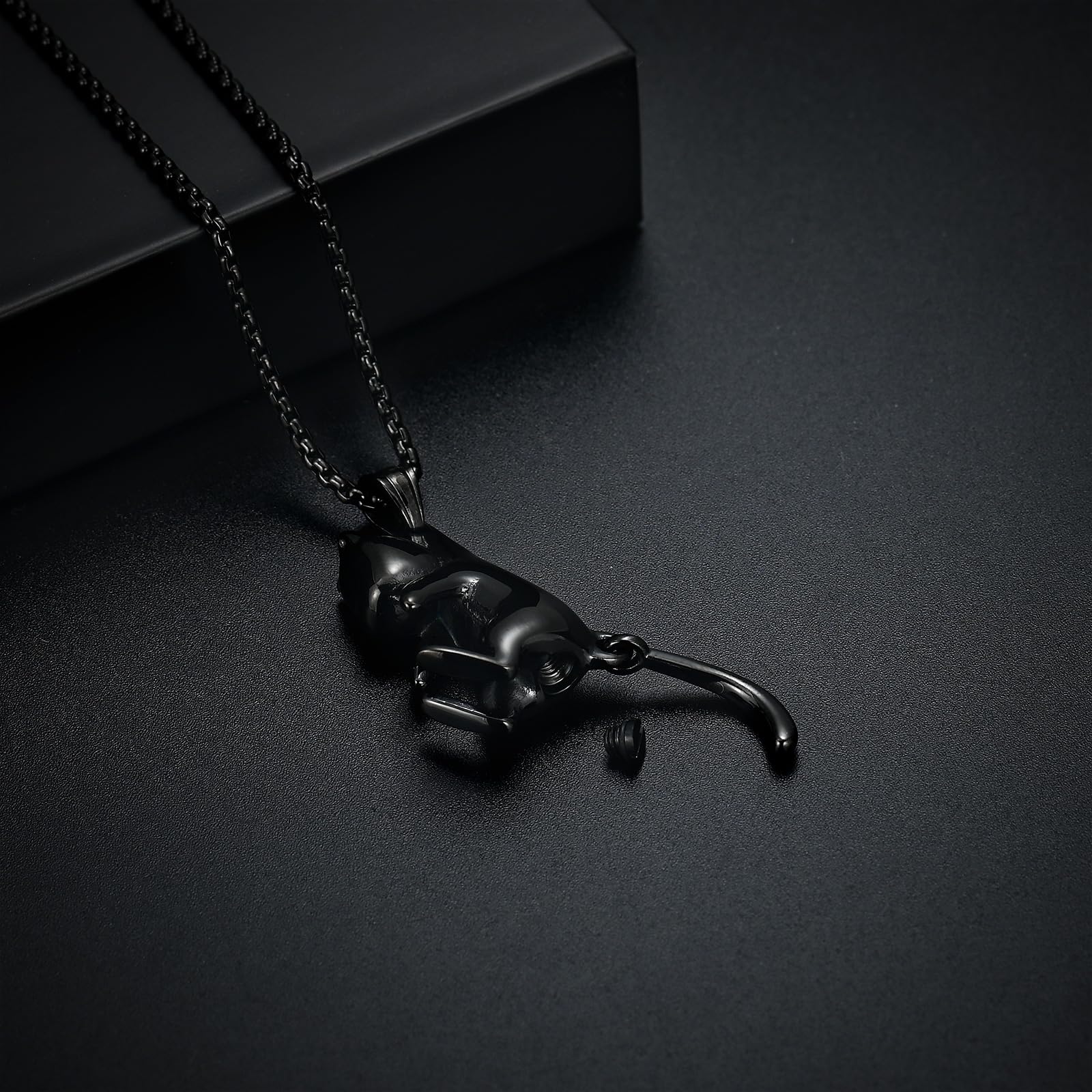 Haustier Kremation Schmuck für Asche Memorial Asche Schmuck Keepsake Katze Urne Anhänger für Tier Asche Halskette
