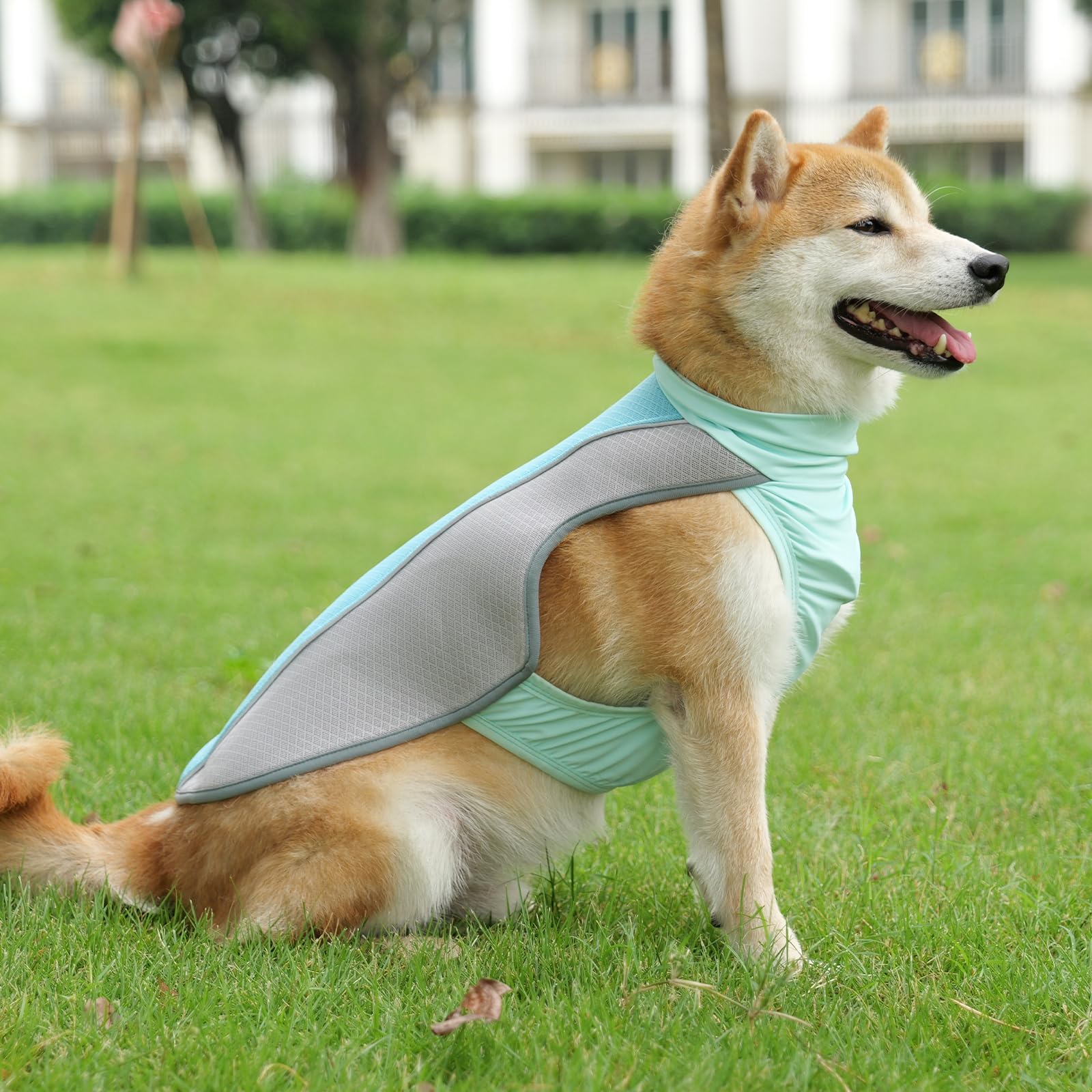 Lelepet Kühlweste für Hunde, Sommer Atmungsaktive Mesh Hundejacke, Leichte Hundekühlweste mit Reflektierendem Streifen, Sonnenschutz & UV-Schutz Kühlende Hundeweste für Aktivitäten Draußen, Blau XL