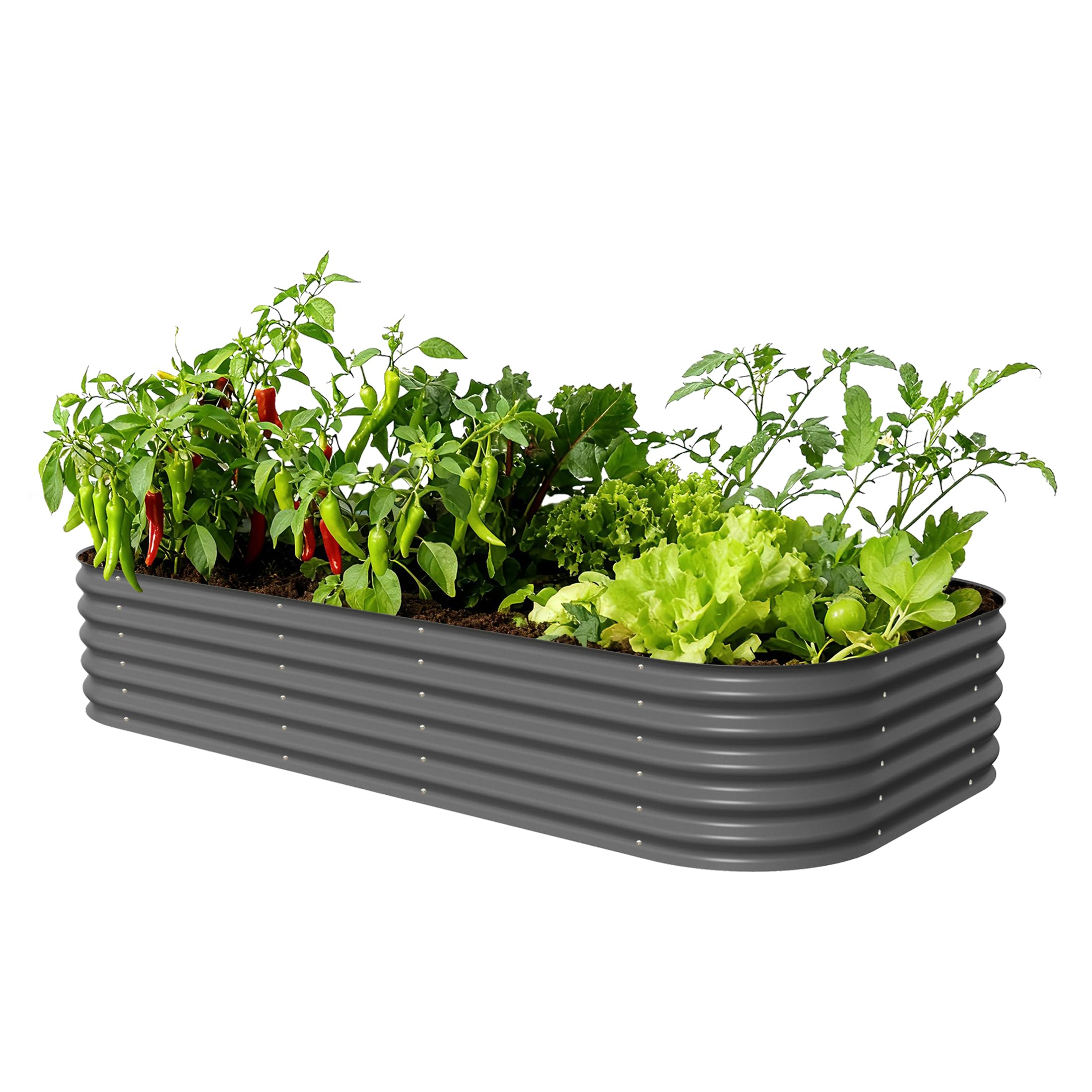 Vego garden 10-in-1 Jumbo Raised Garden Bed Kit