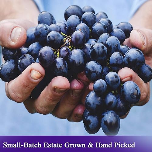 Miniatura 8 de De La Rosa Vinagre Balsámico Orgánico, Kosher para Pascua, vegano y sin gluten, aderezo de vinagre balsámico para ensaladas y adobos, 16.9 onzas