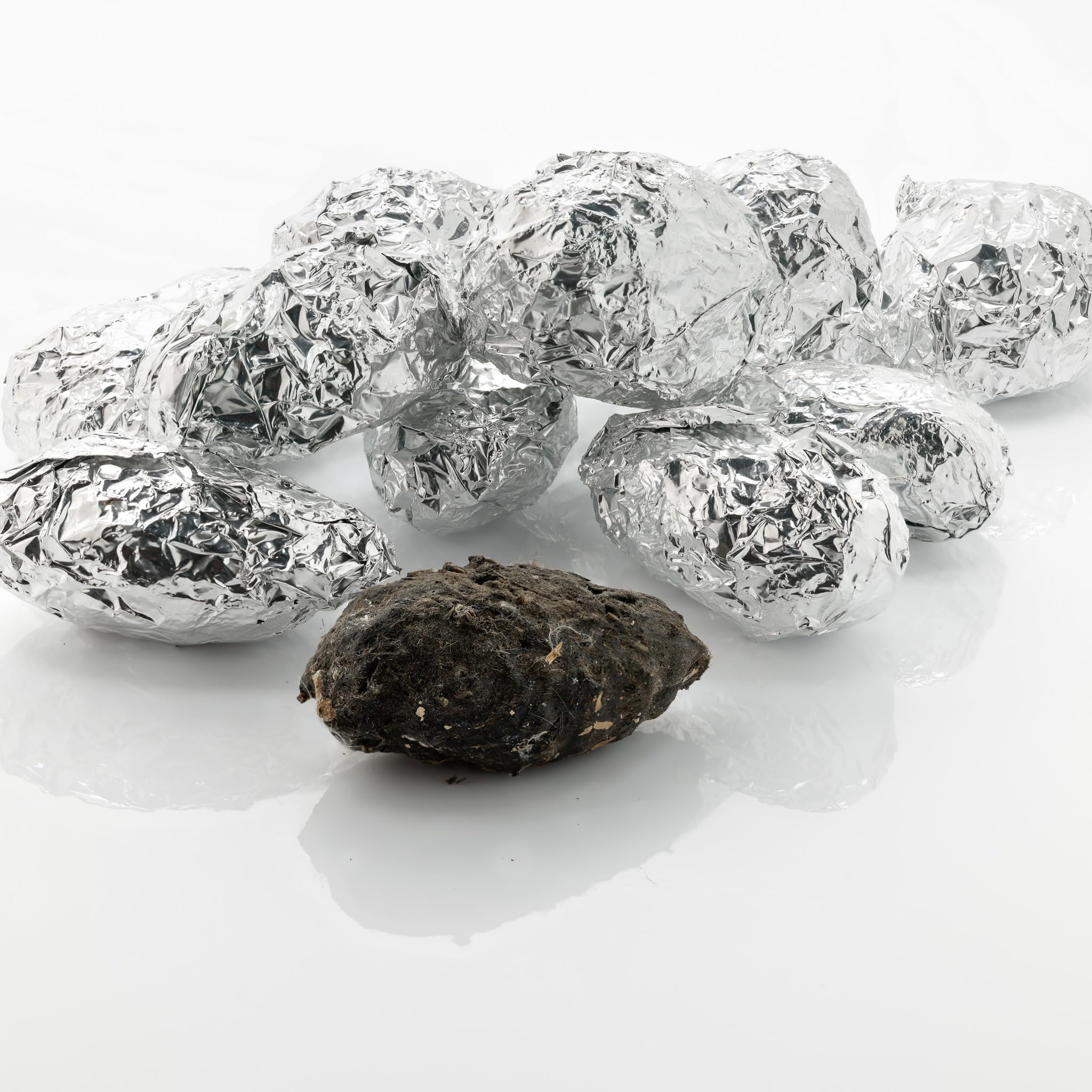 Pellets Barn Owl Pellet, Small (Pack of 20)