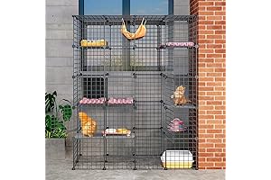 DIY Catio Outdoor Cat Enclosure: The Perfect Place for Your Feline Friend to Play!