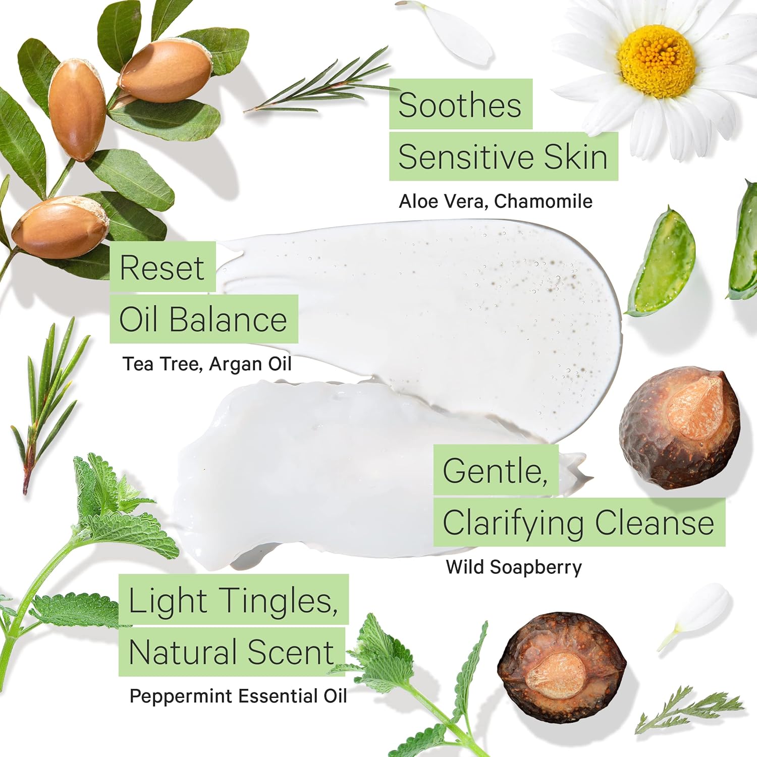 Tree to Tub Citrus Body Wash for Dry Skin Sensitive Skin & Sulfate Free Shampoo and Conditioner Set for Oily Hair, Frizz, Sensitive Scalp - pH Balanced Body Wash & Argan Oil Shampoo and Conditioner