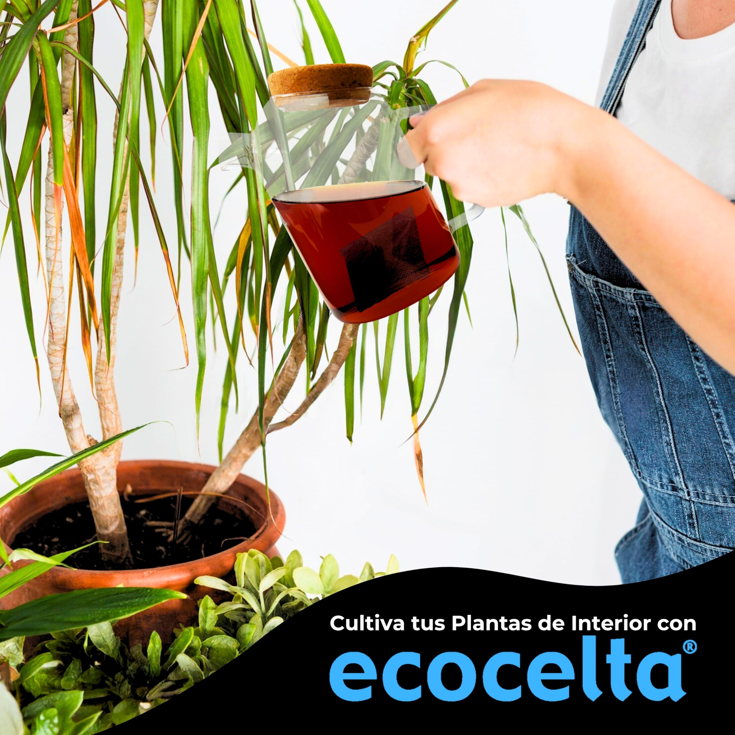ECOCELTA | Humus Tea Bags Pack X 6 Cajas (72 Saquitos) | Abono Ecológico para Plantas en Maceta | Infusión Fertilizante Natural y Uso Directo | Riego y Pulverización | Sin Olores 100% Biodegradable
