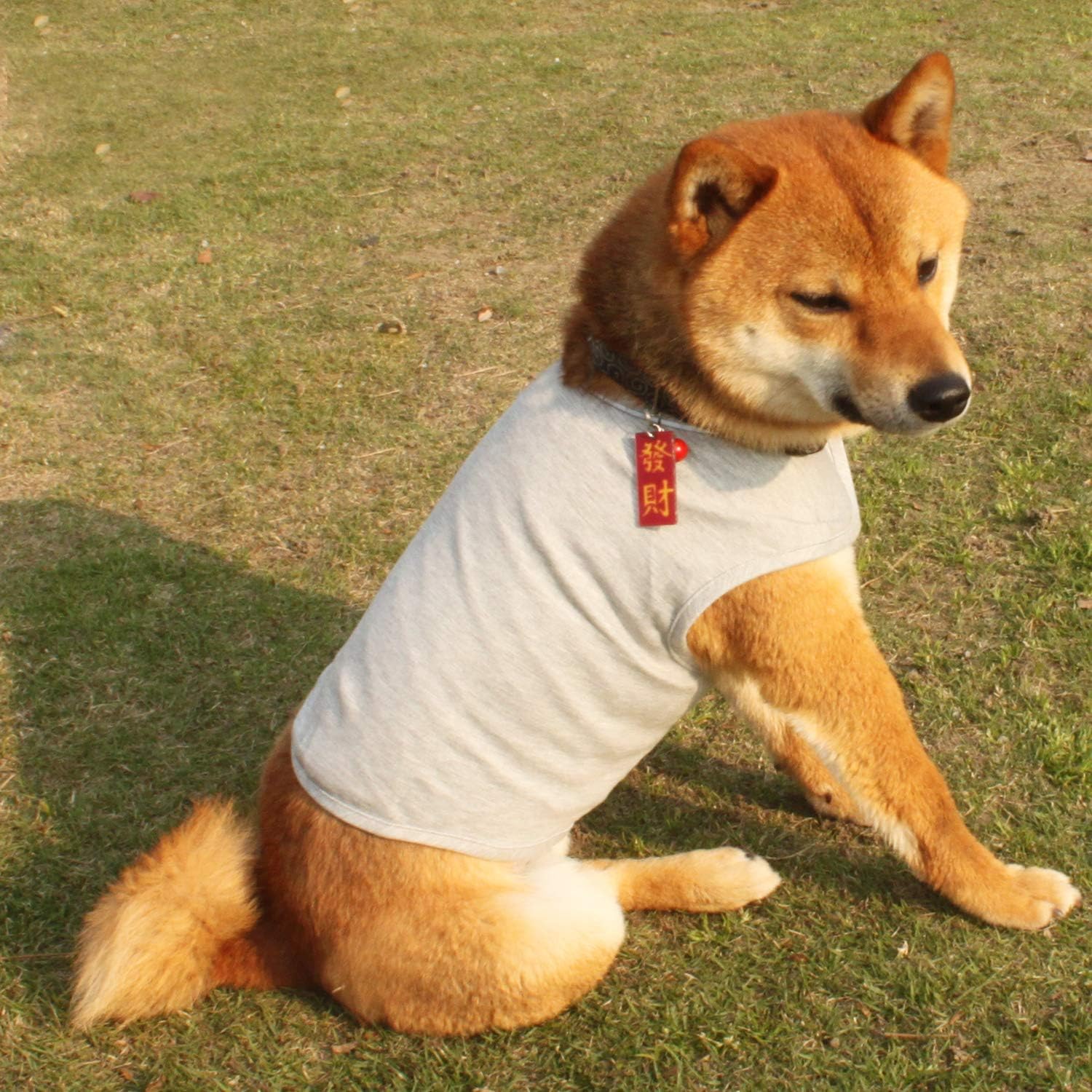 YUKOOL Anxiety Coat for Dogs, Lightweight Wrap Calming Vest, Dog Anxiety Jacket, Used to Instant Therapy for Over Excitement in Lightning and Fireworks to Keep Calming Comfort(S,Grey) 9 81u2KdEUCeL. AC SL1500