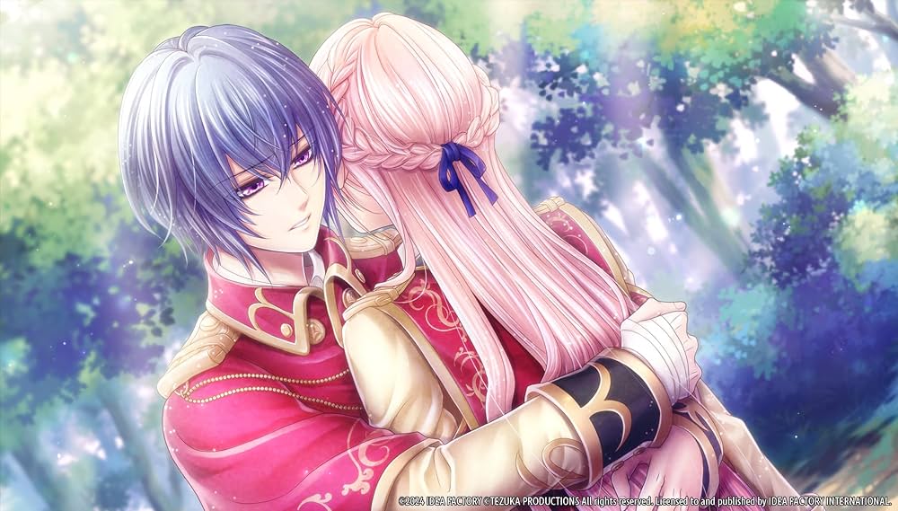 Amazon.com: Battlefield Waltz for Nintendo Switch : Idea Factory