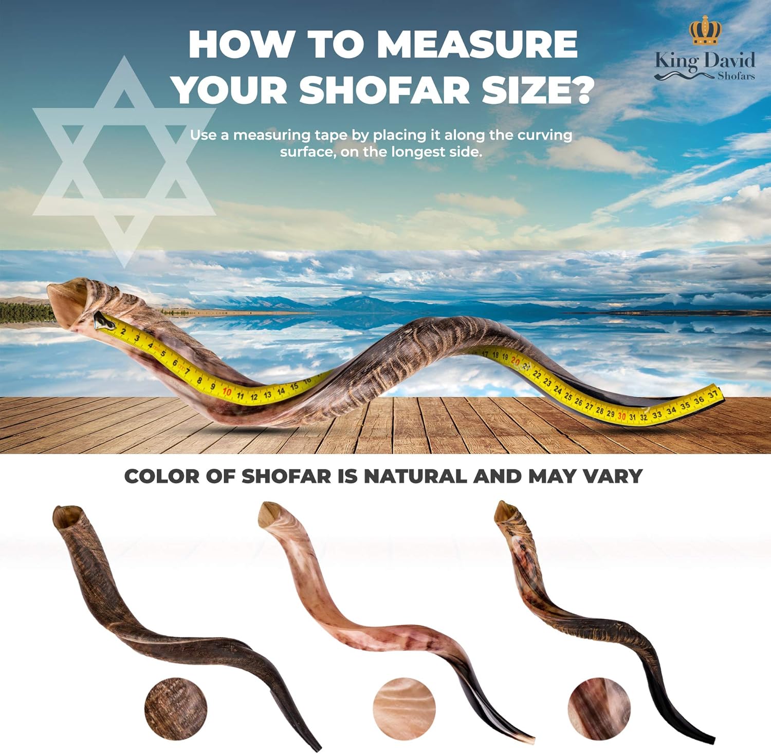 Shofar Horn Instrument - Shofar Angels Musical Instrument - Horn Gift From Israel - Kosher Jewish Shofar - Holy Instrument For Jewish - Traditional Israeli Horn - Half Polished (40''-42'' - Jumbo) : Musical Instruments