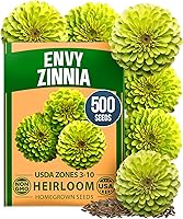 Vista 151 de HOME GROWN Semillas de eneldo sin OMG para plantar 1,014 ramos de semillas de eneldo y semillas de hierbas tradicionales para plantar al aire libre