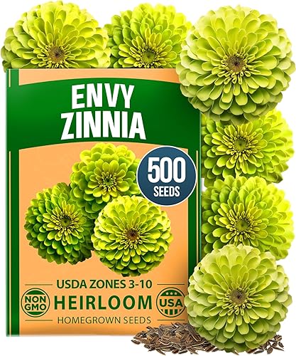 Miniatura 153 de HOME GROWN Heavenly Blue Morning Glory - 150 semillas de reliquia para plantar, ideal para un jardín de flores que atrae a polinizadores y pájaros