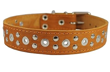 Genuine Leather Studded Dog Collar 22