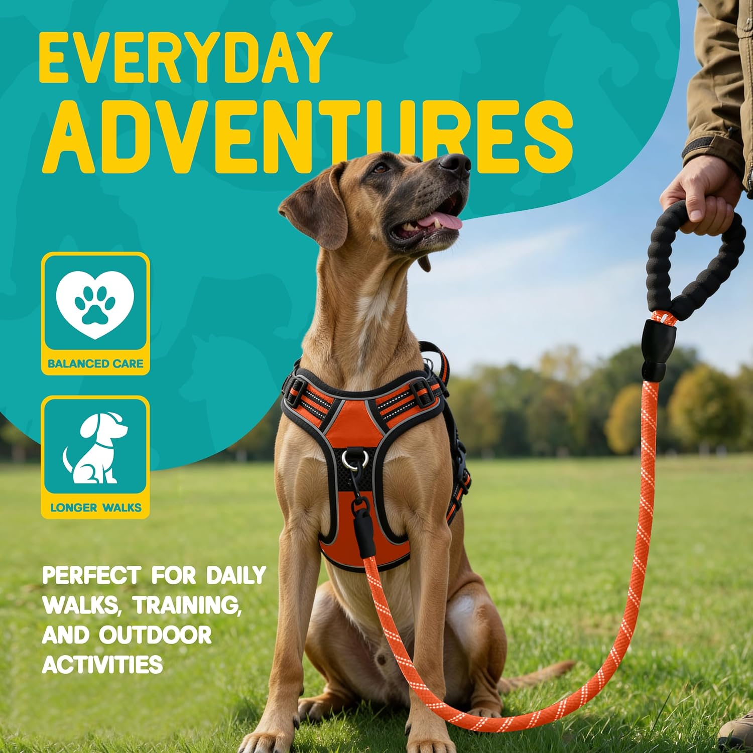 No Pull Dog Harness and Leash Set for Extra Large Dogs – Adjustable Reflective Breathable Soft Padded Easy Control Dog Harness for Training & Walking, Orange (X-Large)