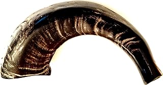 Israeli Jacob Sheep Shofar - The Original. The horns collected from an Israeli farm that raise the Jacob sheep.
