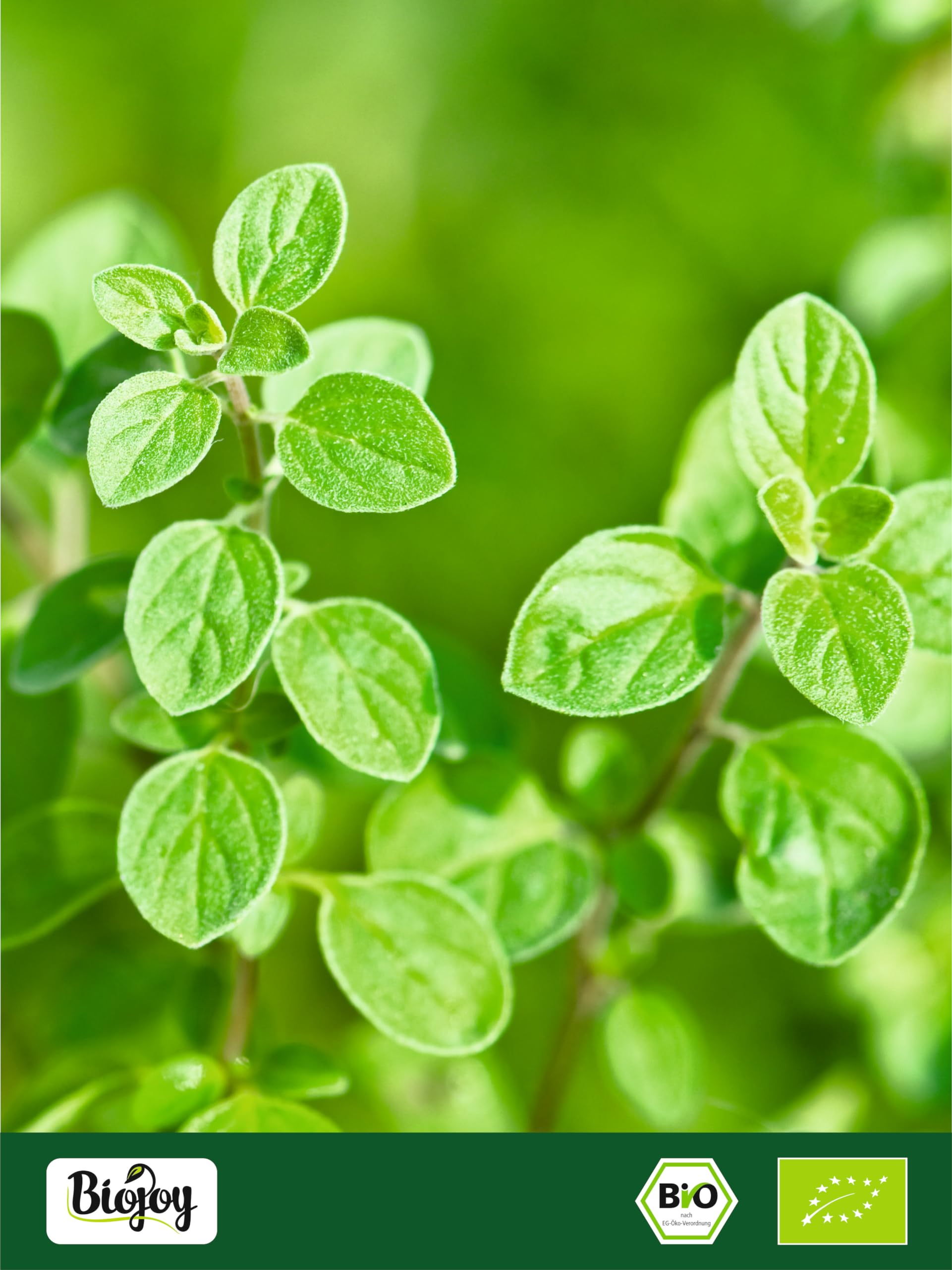 Biojoy Origan BIO (500 g), séché et frotté, sans additifs (Origanum vulgare)