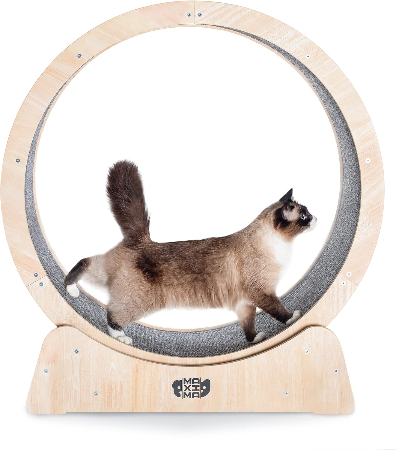 MAXIMA Cat Exercise Wheel 90cmAustralian Brand Assembly Video