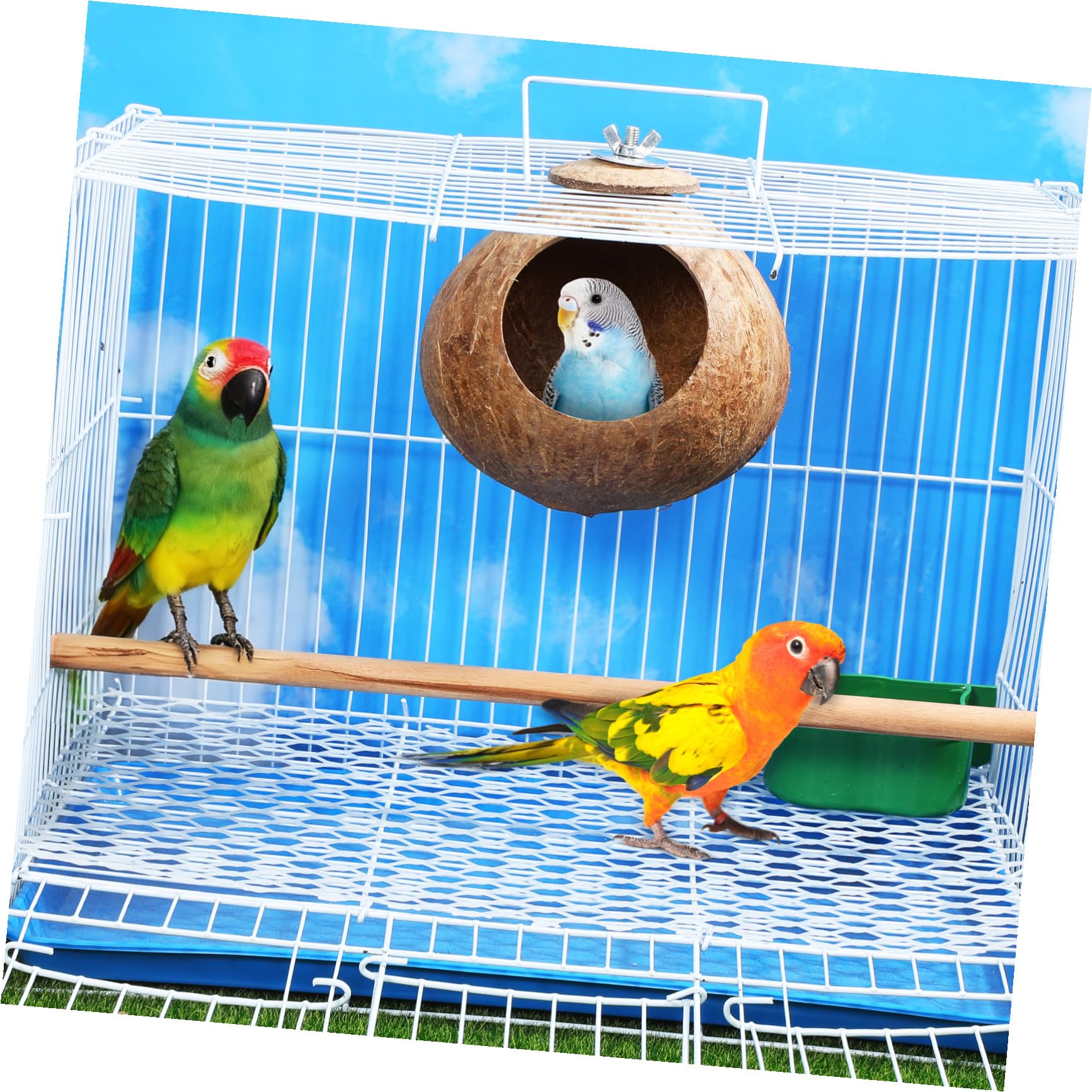 Balacoo Nid d'Oiseau en Noix de Naturelle, Cabane Suspendue pour Hamster, Perruche, Canari et Petite Souris, Abri de Repos et Jouet de Cage Écologique, Cachette pour Reproduction (15 cm)