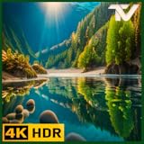 Protector de pantalla HD de uso general: una colección de hermosas escenas