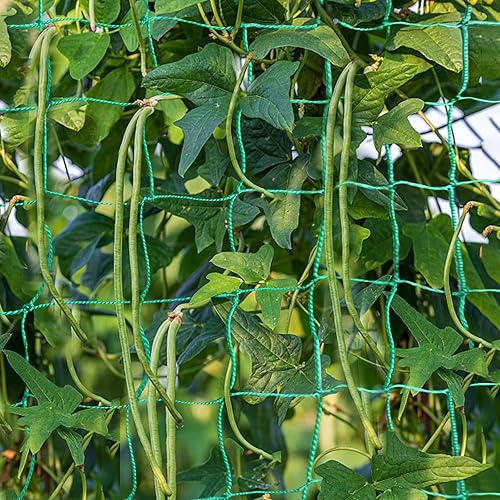 Miniatura 4 de Enrejado de jardín para plantas trepadoras, red de enrejado de pepino vegetal resistente para plantas trepadoras, enrejado de guisantes verdes para