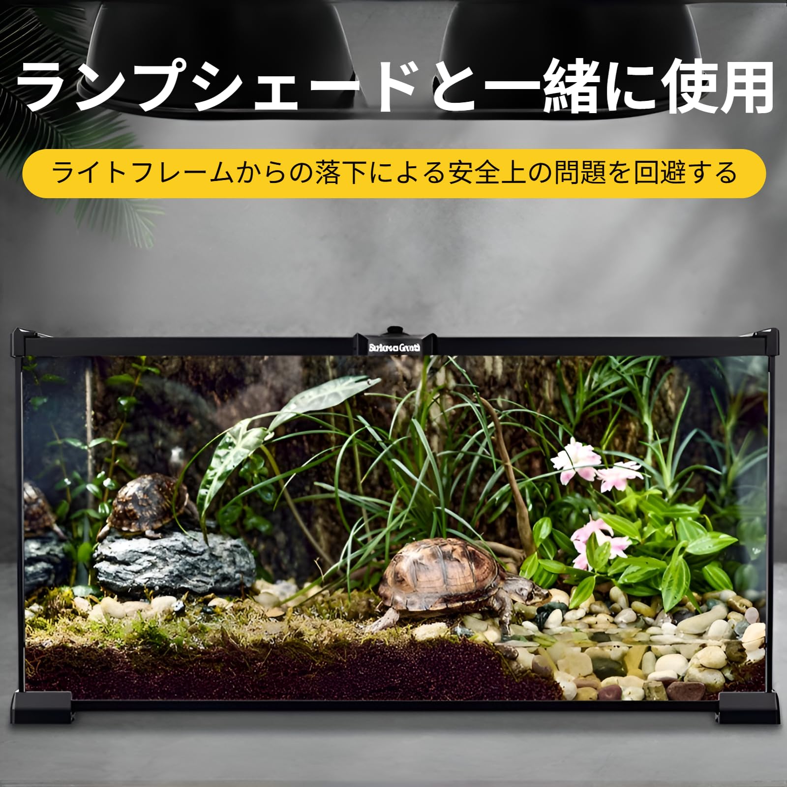 Amazon | [Luvian]爬虫類 ケージ 飼育 プロ仕様 強化ガラス製 二重