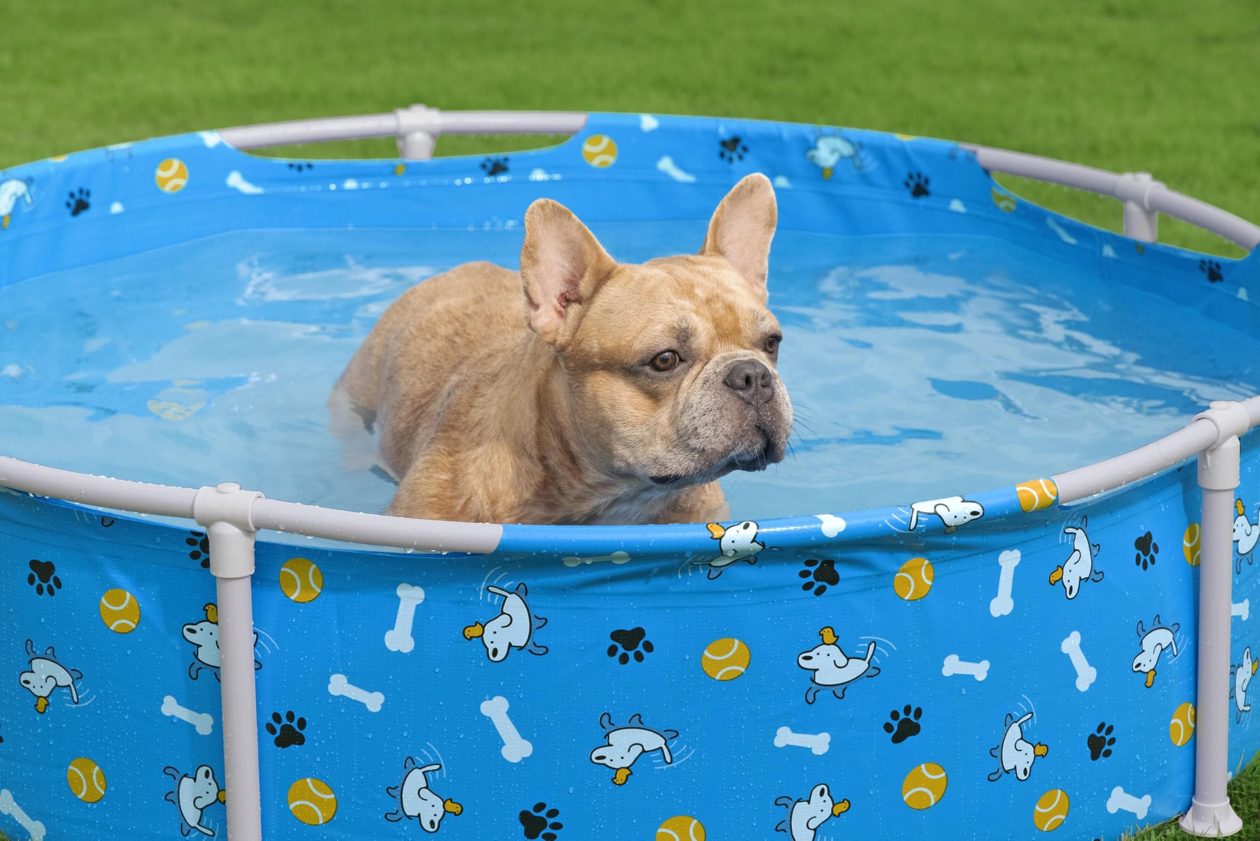 Bestway Piscine pour Animal Fetchin' Fun - 122 cm x 122 cm x 38 cm - Bleu