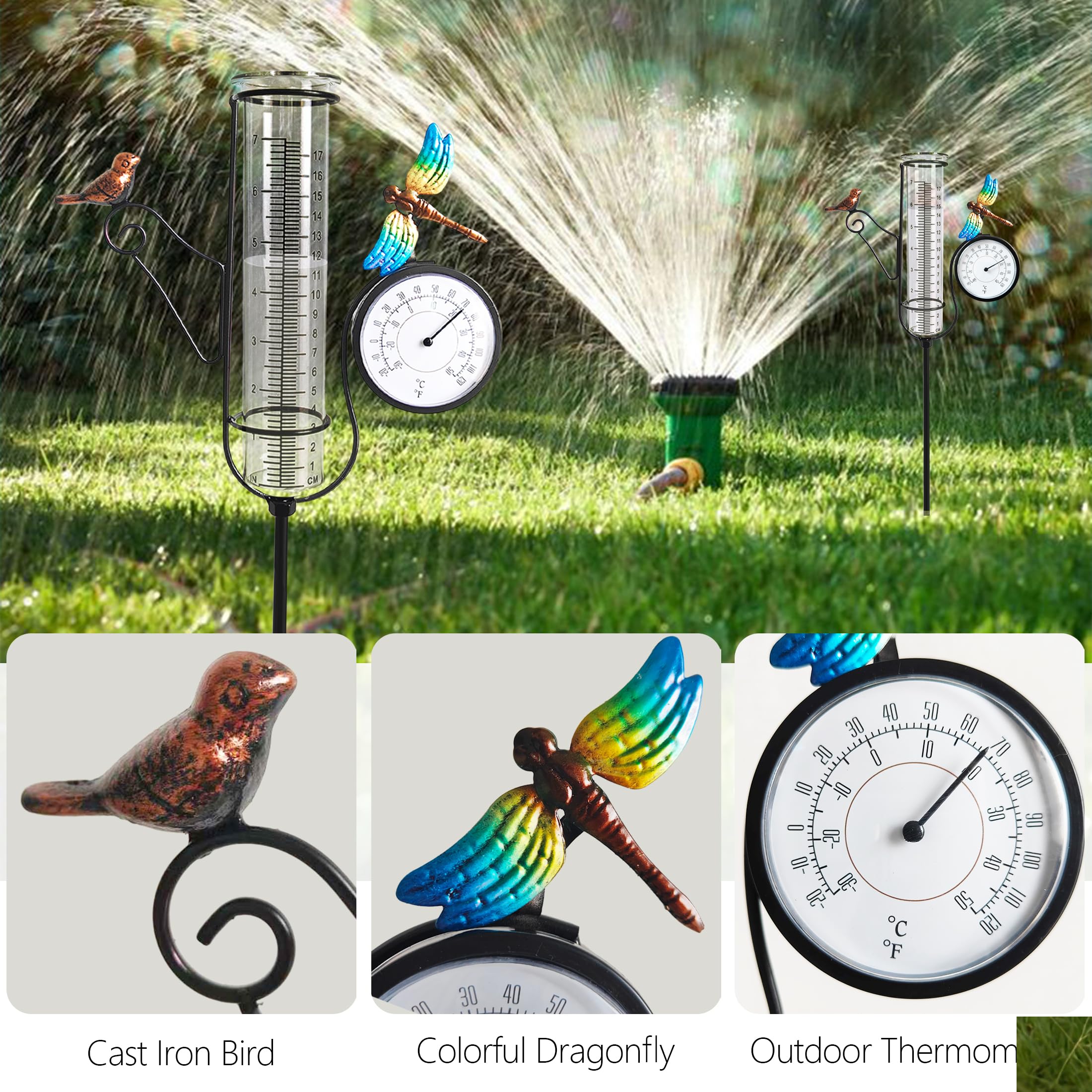 Bird & Dragonfly Art - Medidor de Lluvia para Exteriores, con termómetro de Calibre de 27 Pulgadas, Marco de Metal, medidores precisos al Aire Libre, números Grandes, Adecuado para jardín