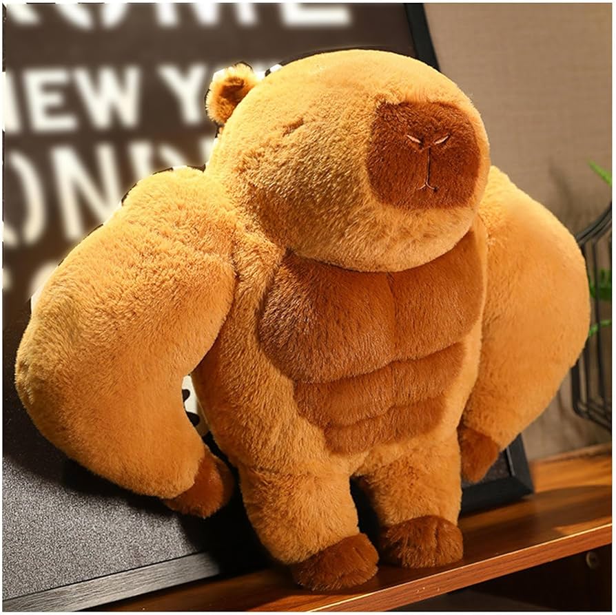 Amazon.co.jp: カピバラ ぬいぐるみ 45/65cm、フィットネス, 特大
