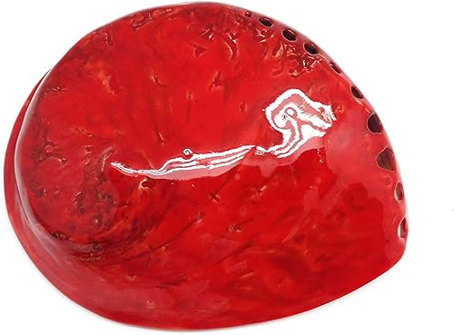 PEPPERLONELY 1 unidad de conchas marinas de abulón Midas rojo brillante pulidas para decoración y exhibición del hogar, 5-1/2 pulgadas ~ 6 pulgadas