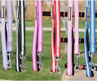 DOGGIE DESIGN Safety Reflective Strip Nylon Leash with Soft Grip Handle - 3/4 in. Wide x 5 ft. Long (Black)